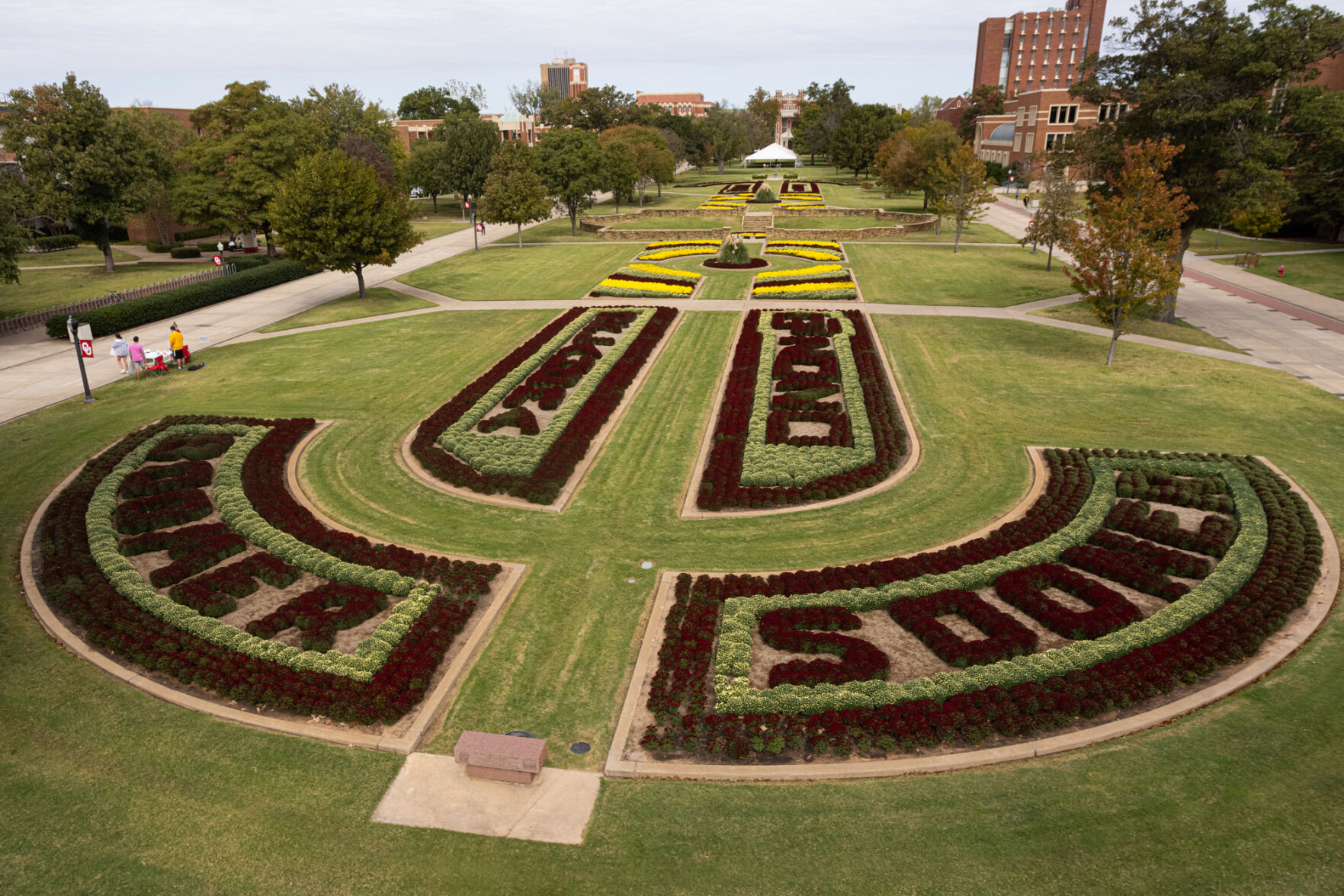 South Oval Mums